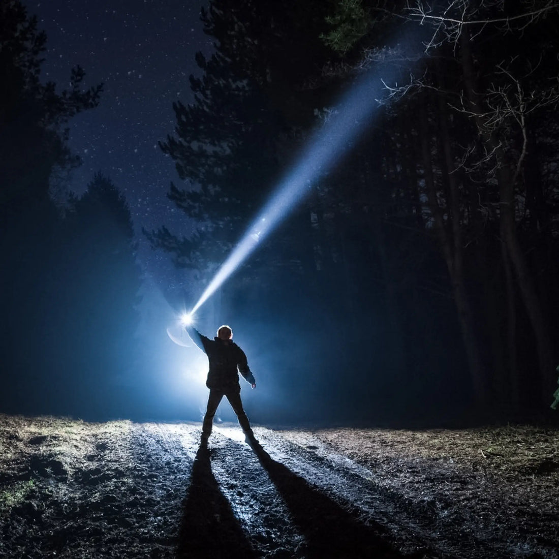 Licht + Lampen